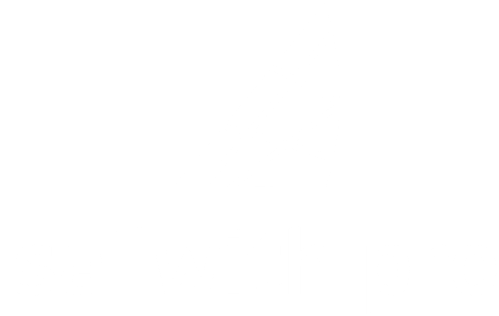 sailwith.pro logo